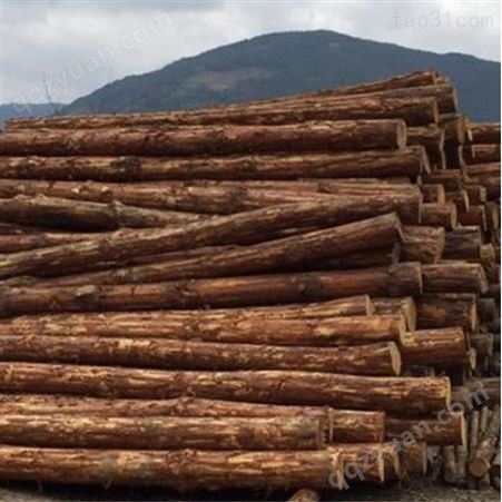 胜洁木业 防汛杉木桩批发 10米杉木桩出售