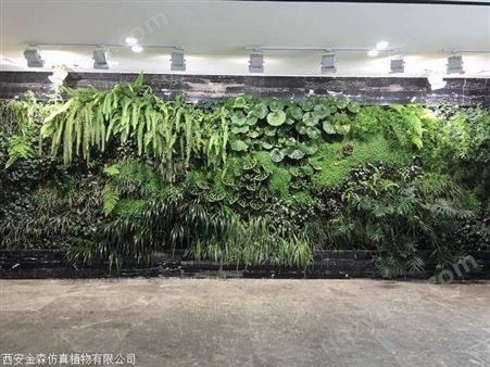 西安仿真绿植墙 墙壁绿植装饰 绿植花卉价 种类繁多 款式新颖