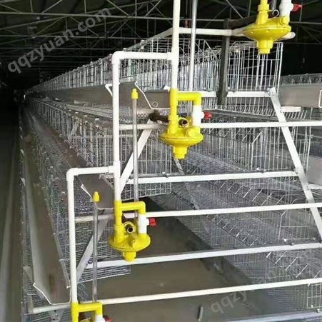 层叠式蛋鸡笼 大型三层阶梯式鸡笼 管理成本低