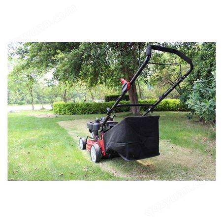 小型自走式园林别墅草坪机械 修剪割草机 现货出售