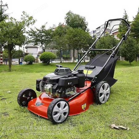 小区别墅草坪修剪机 手推式移动草坪割草机械