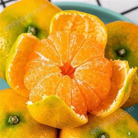 爆甜正宗金秋砂糖橘薄皮橘子应季新鲜水果桔子多汁沙糖桔大型基地