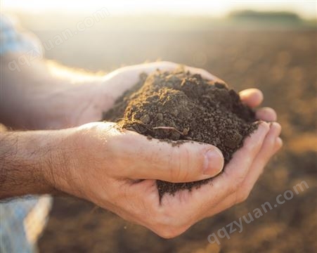 高岭土检测成分检测粘土含量测定硬度粘度测定土壤成分配方分析