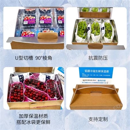 水果蓝莓车厘子铝箔手提包装箱冷冻食品冷链包装箱生产批发定做