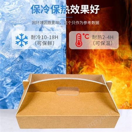 厂家批发水果蓝莓车厘子铝箔手提包装箱冷冻食品冷链铝膜包装箱