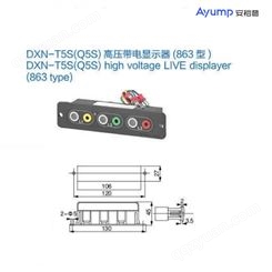 DXN-T5S(Q5S)高压带电显示器(863型)
