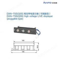 DXN-T5S(Q5S)高压带电显示器(可插拔型)