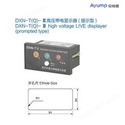 DXN-T(Q)- III 高压带电显示器(提示型)