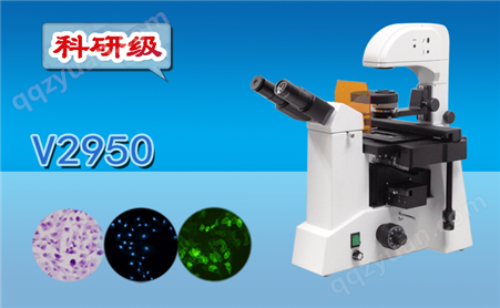 三目倒置荧光显微镜V2950