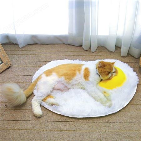 现货猫狗长毛绒垫子卧室加厚平铺煎蛋超人防滑毯子宠物两用品