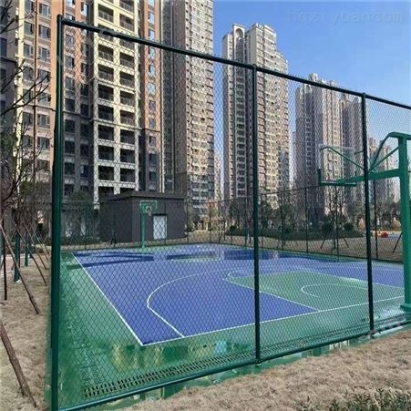 泰立c406-武汉硅pu球场 硅pu网球场建设 篮球场施工