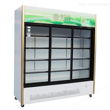 雪立方移门商用 冷柜冷藏保鲜展示柜 新款立式啤酒冰箱饮料柜